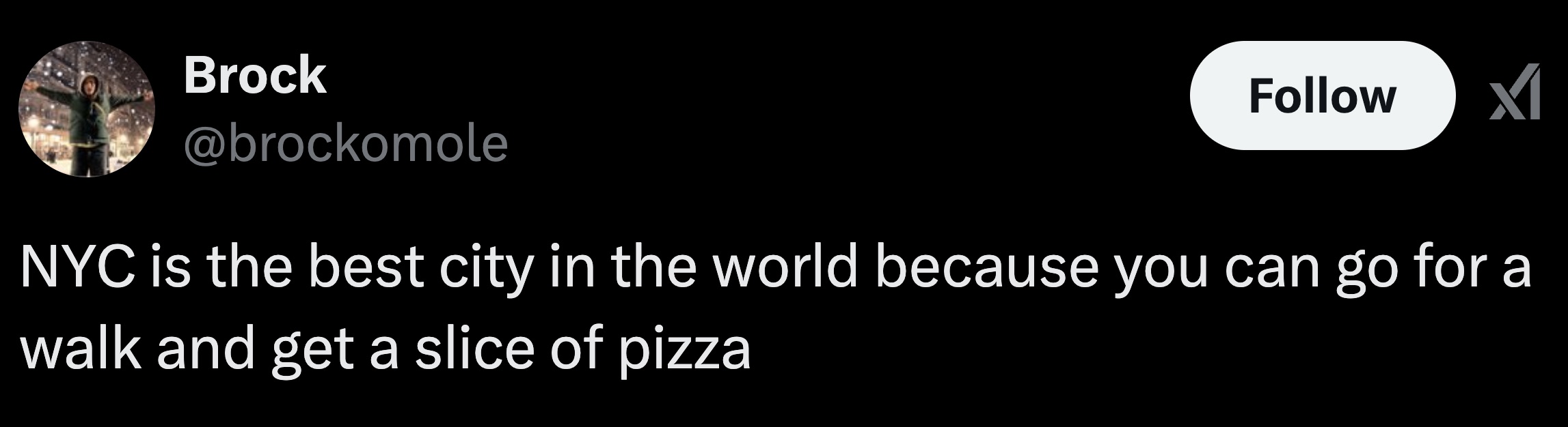 graphics - Brock M Nyc is the best city in the world because you can go for a walk and get a slice of pizza